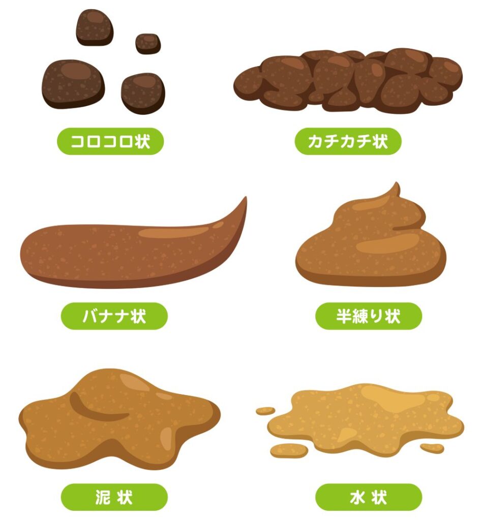 便の形状